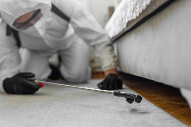 Professional Bed Bug Control technician working in Peach Lake, NY