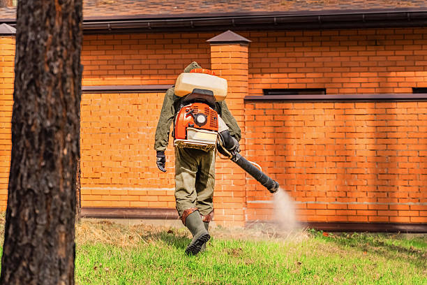 Trusted Cockroach Control service in Peach Lake, NY - Nex Pest Control